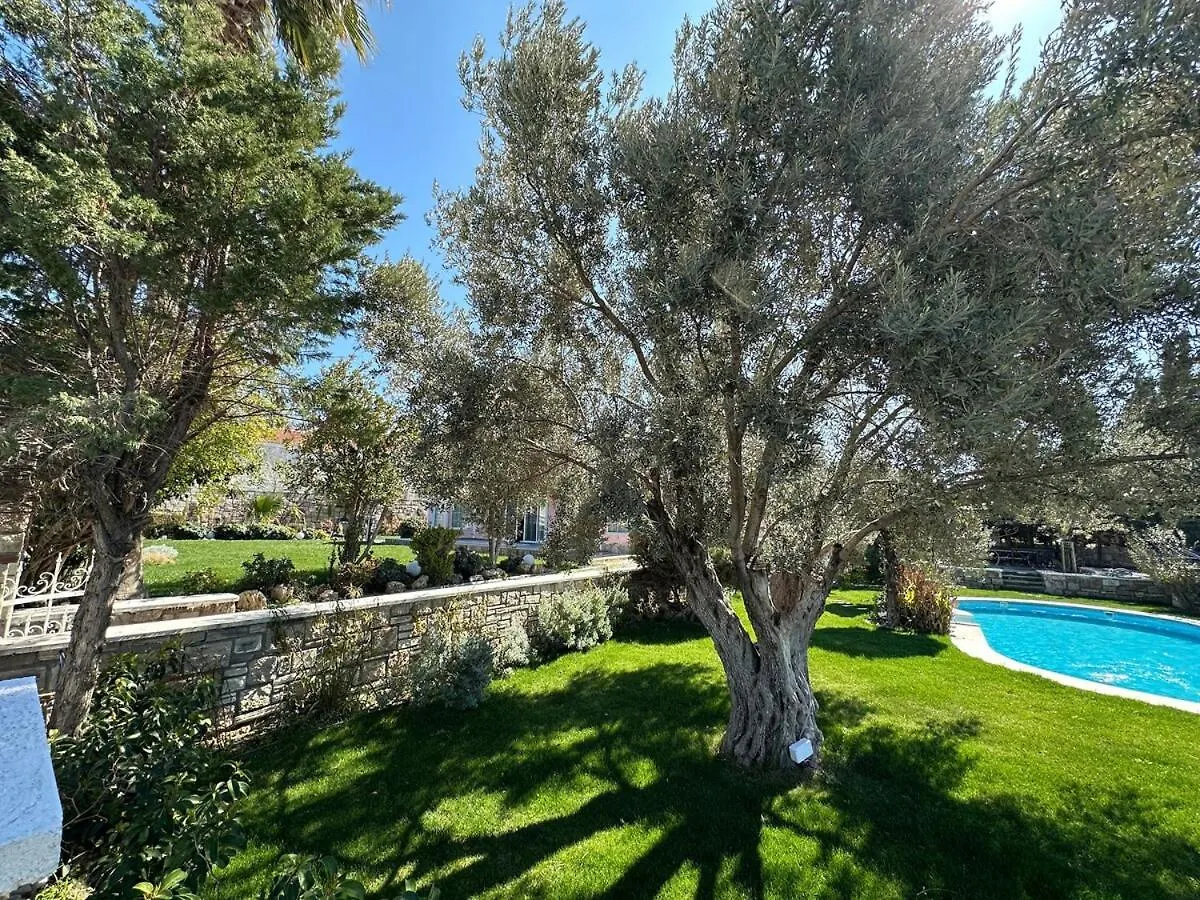 Villa Palm Focakoey 0*,  Turquia