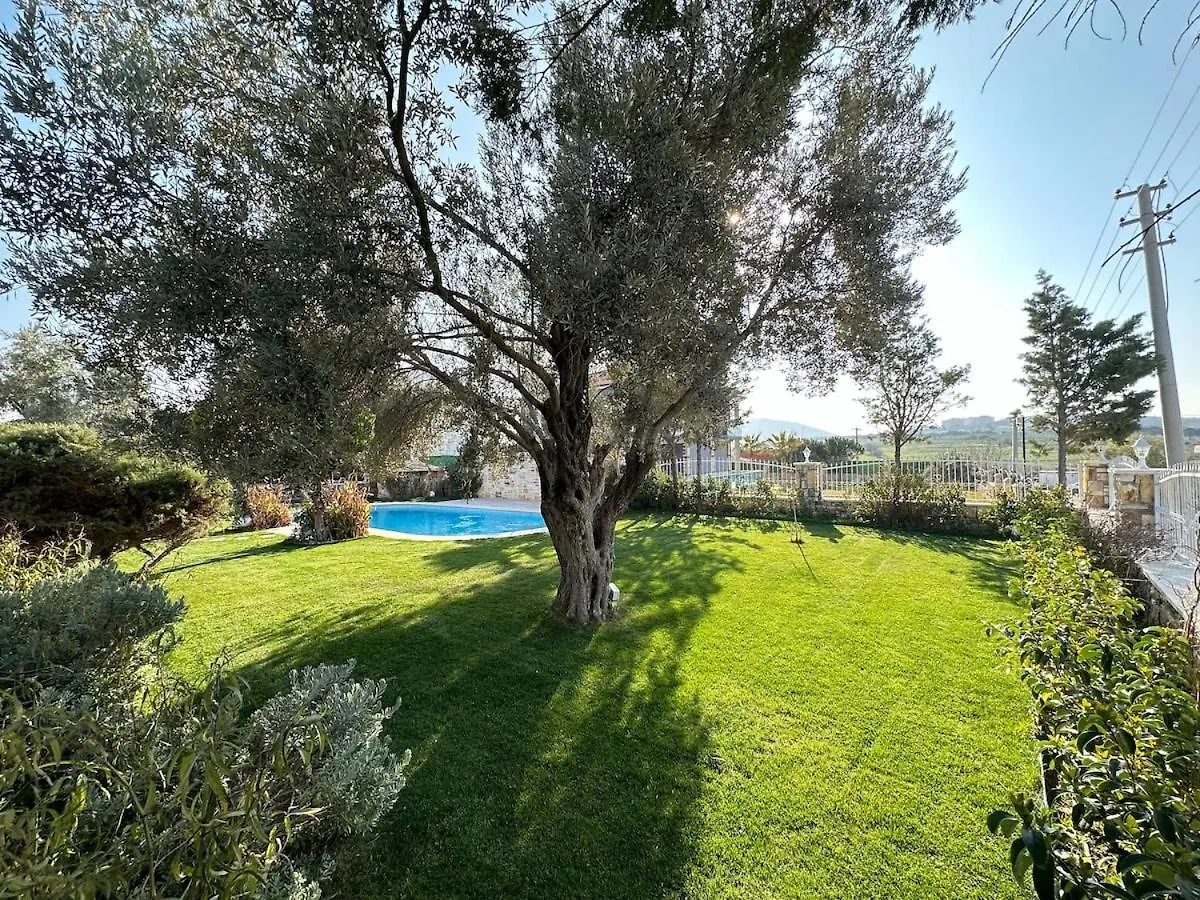 Villa Palm Focakoey