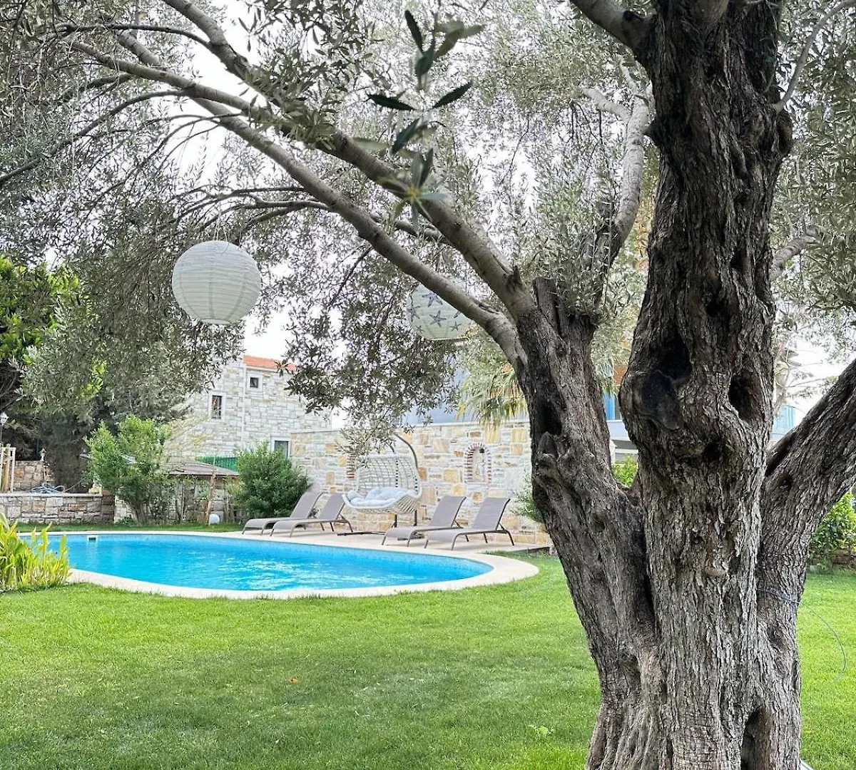 Villa Palm Focakoey